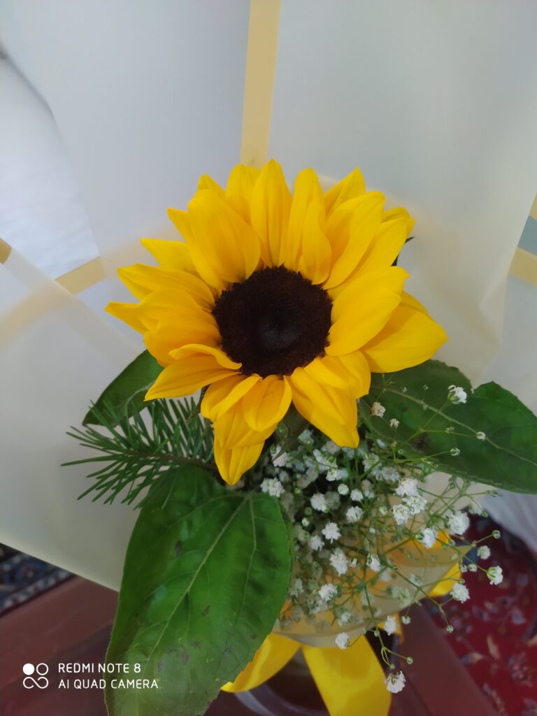 آموزش خیاطی